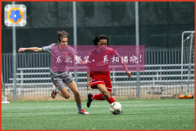 东北整装，真相揭晓！