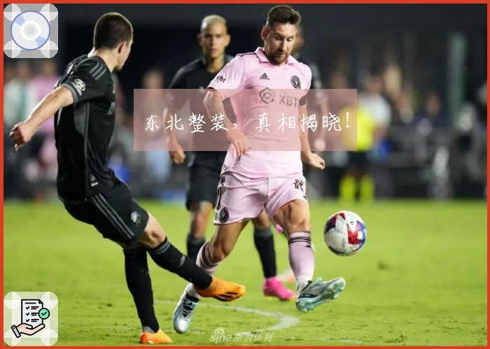 东北整装，真相揭晓！